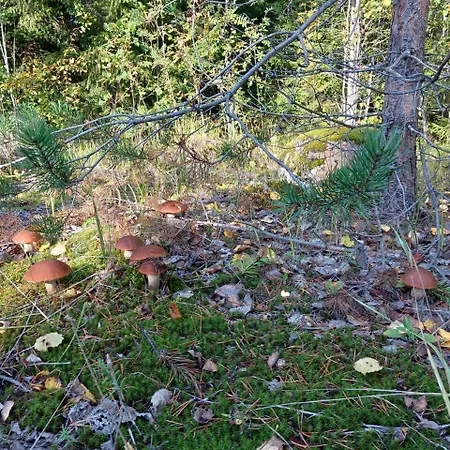 Apartmán Kampus *